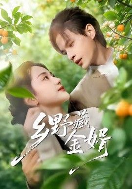 乡野藏金婿封面图
