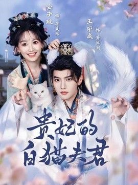 贵妃的白猫夫君高清播放