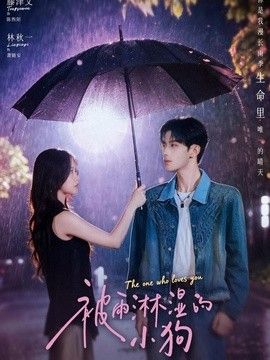 被雨淋湿的小狗}