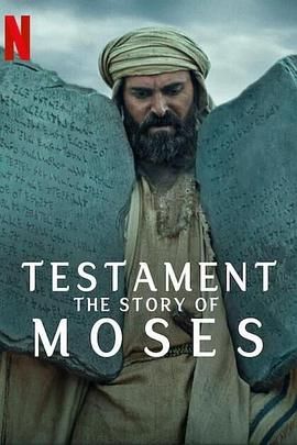聖約之外：摩西的故事海报图片