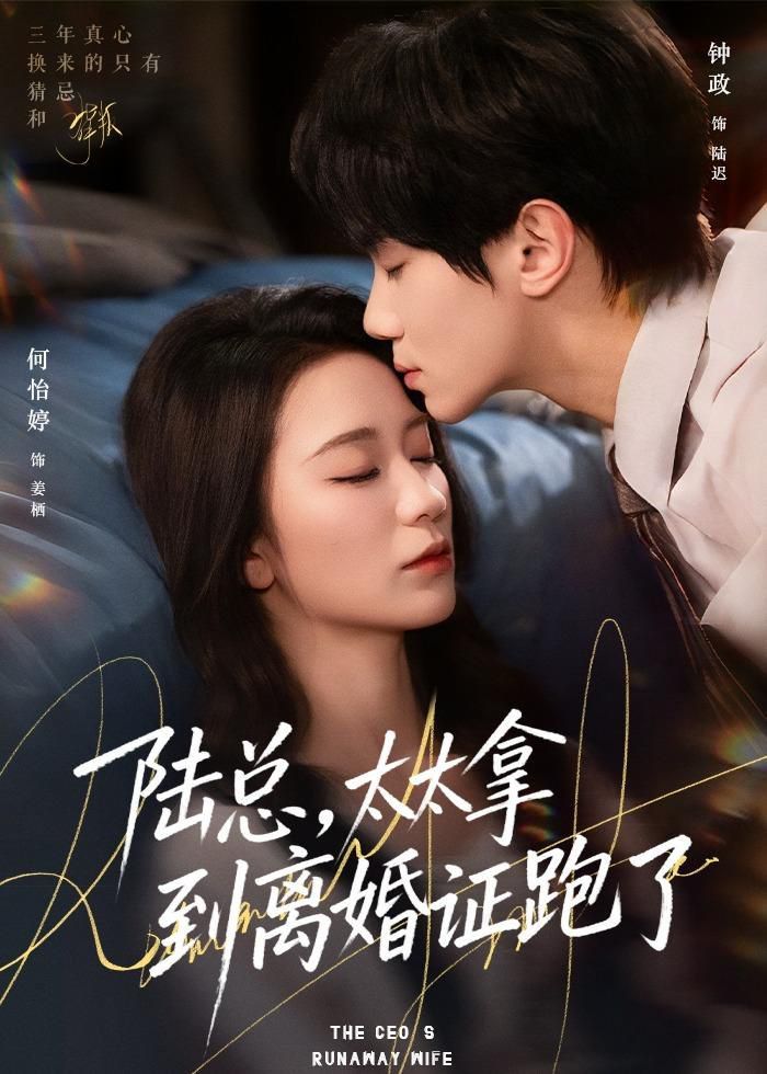 陆总,太太拿到离婚证跑了 - 短剧 2026
