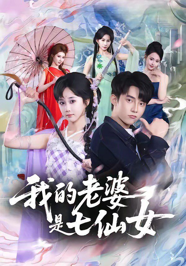 我的老婆是七仙女 在线观看