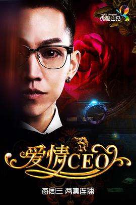 爱情CEO}