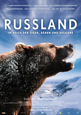 俄罗斯——在老虎，熊和火山之间海报图片