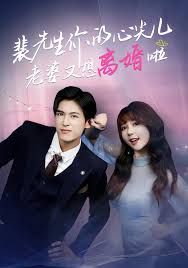 裴先生你的心尖儿老婆又想离婚啦,裴先生的复婚攻略