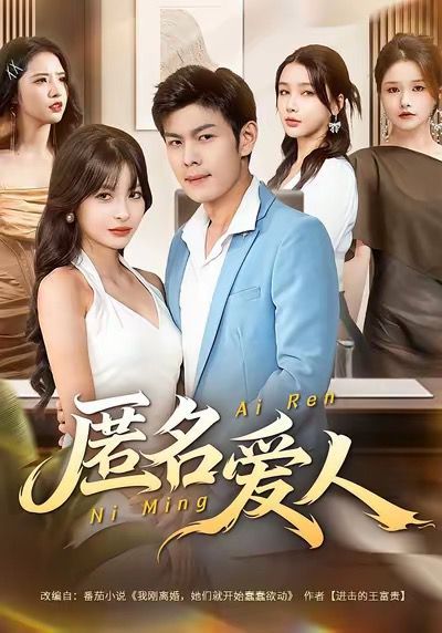 匿名爱人封面图