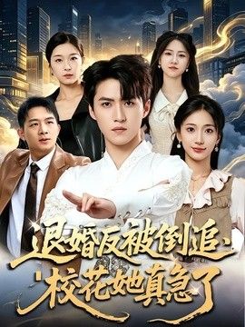 退婚反被倒追,校花她真急了