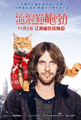 流浪猫鲍勃（国语版）海报封面