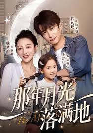 那年月光落满地