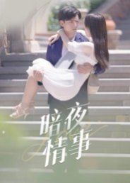 暗夜情事封面图