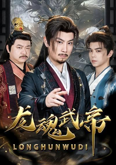 龙魂武帝封面图