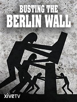 柏林迷墙在线观看