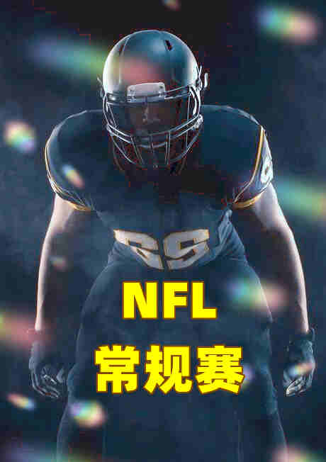  NFL常规赛-老鹰vs巨人-20221212