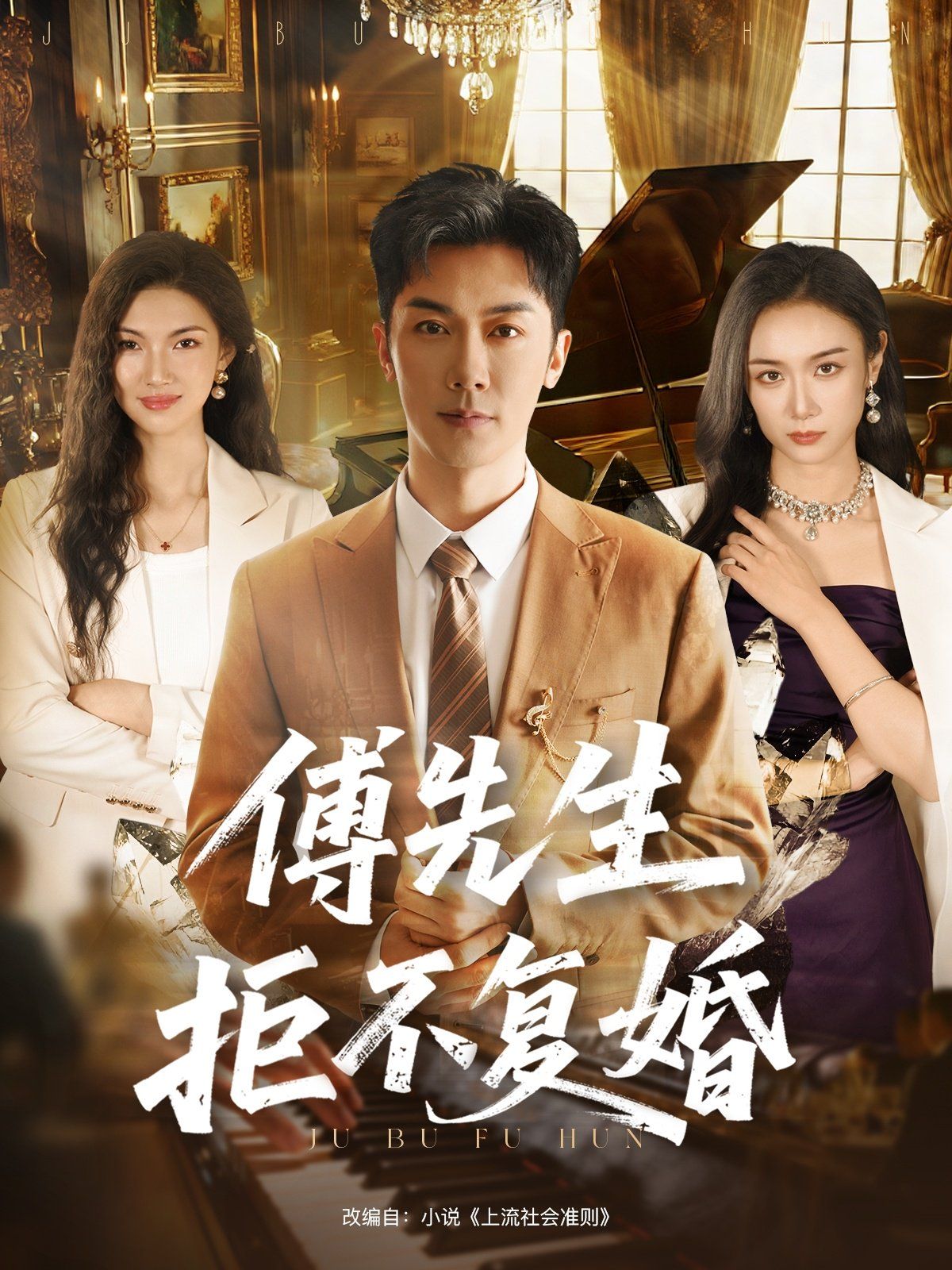 傅先生拒不复婚封面图