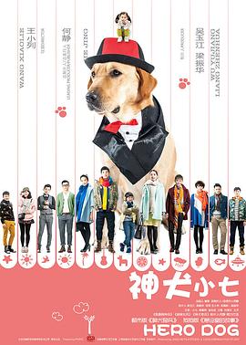 神犬小七 第一季海报图片