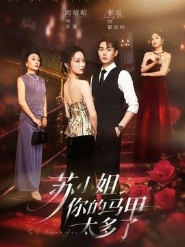 苏小姐，你的马甲太多了封面图