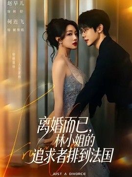 离婚而已，林小姐的追求者排到法国在线观看