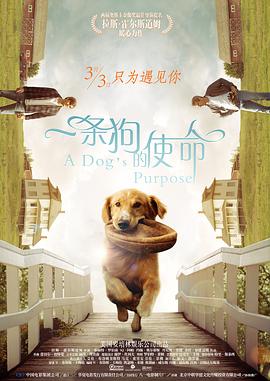 一条狗的使命（国语版）海报封面
