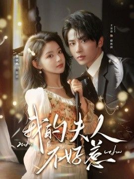 我的夫人不好惹，你好，我的旅長夫人