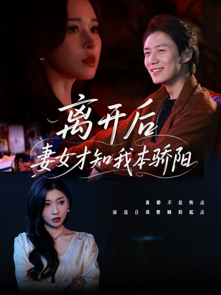 离开后妻女才知我本骄阳高清海报