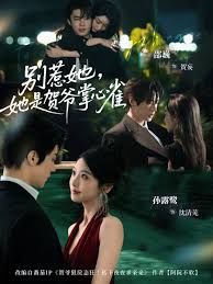 别惹她,她是贺爷掌心雀