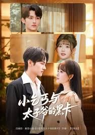 小乞丐与太子爷的黑卡封面图