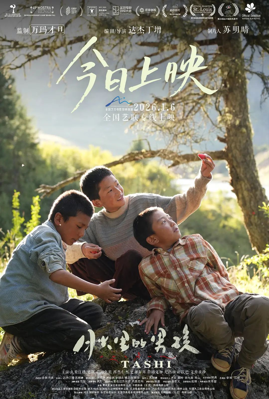 月光里的男孩封面图