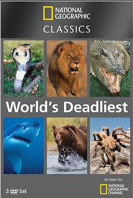 世界致命动物系列：中美洲篇在线观看