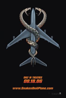 航班蛇患（国语版）海报封面